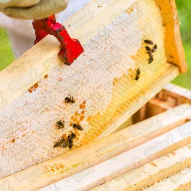 Petekli Çiçek Balı