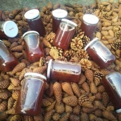 Kozalak Şurubu (750 GR)