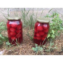 Erik Kompostosu(1000 GR.)