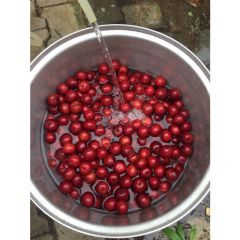 Erik Kompostosu(1000 GR.)