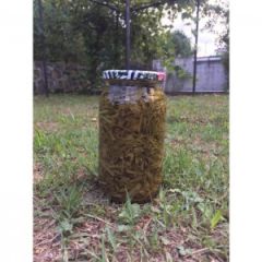 Melevcen - Diken Ucu 500 gr