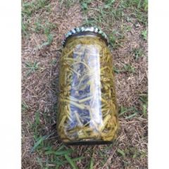 Melevcen - Diken Ucu 500 gr