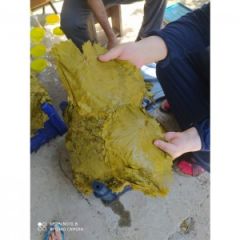 Tokat Erbaa Asma Yaprağı Salamura