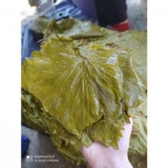 Tokat Erbaa Asma Yaprağı Salamura