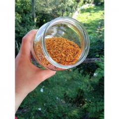 Taze Arı Poleni Yeni Sezon (100 gr.)