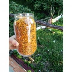 Taze Arı Poleni Yeni Sezon (100 gr.)