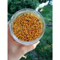 Taze Arı Poleni Yeni Sezon (100 gr.)