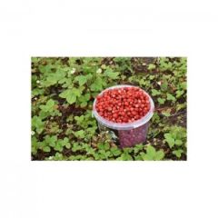 Dağ Çileği Reçeli (390 gr)