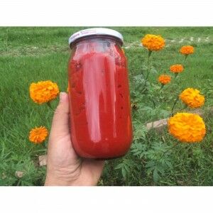 Ev Yapımı Biber Salçası (1 Kg)