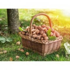 Kabuklu Ceviz (1 Kg)