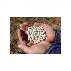 Akkuş Kuru Fasulyesi (1 Kg)