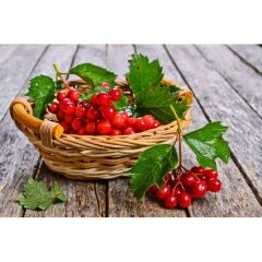 Gilaburu Sirkesi 500 Ml