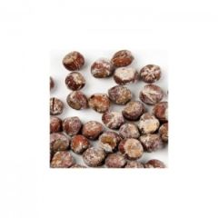 Tuzlanmış Kabuklu Fındık (1 Kg)