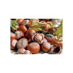 Kabuklu Fındık (1 Kg)