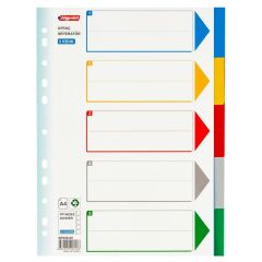 Bigpoint Pp Seperatör (dosya Ayracı) 5 Renkli